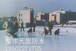 廣州市番禺區(qū)臺實防水補(bǔ)漏防腐工程公司 專業(yè)管道疏通服務(wù)與品牌生產(chǎn)供應(yīng)商